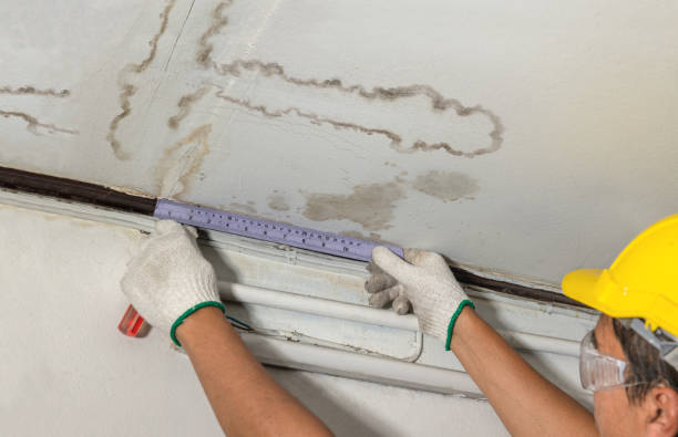 Reliable Flood Cleanup contractor in Roseville, MI by Water Damage Irwin